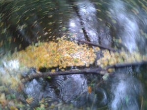 Mit dem Fluss - Einleitung und Widerstand in der Rückführungstherapie Widerstand 2