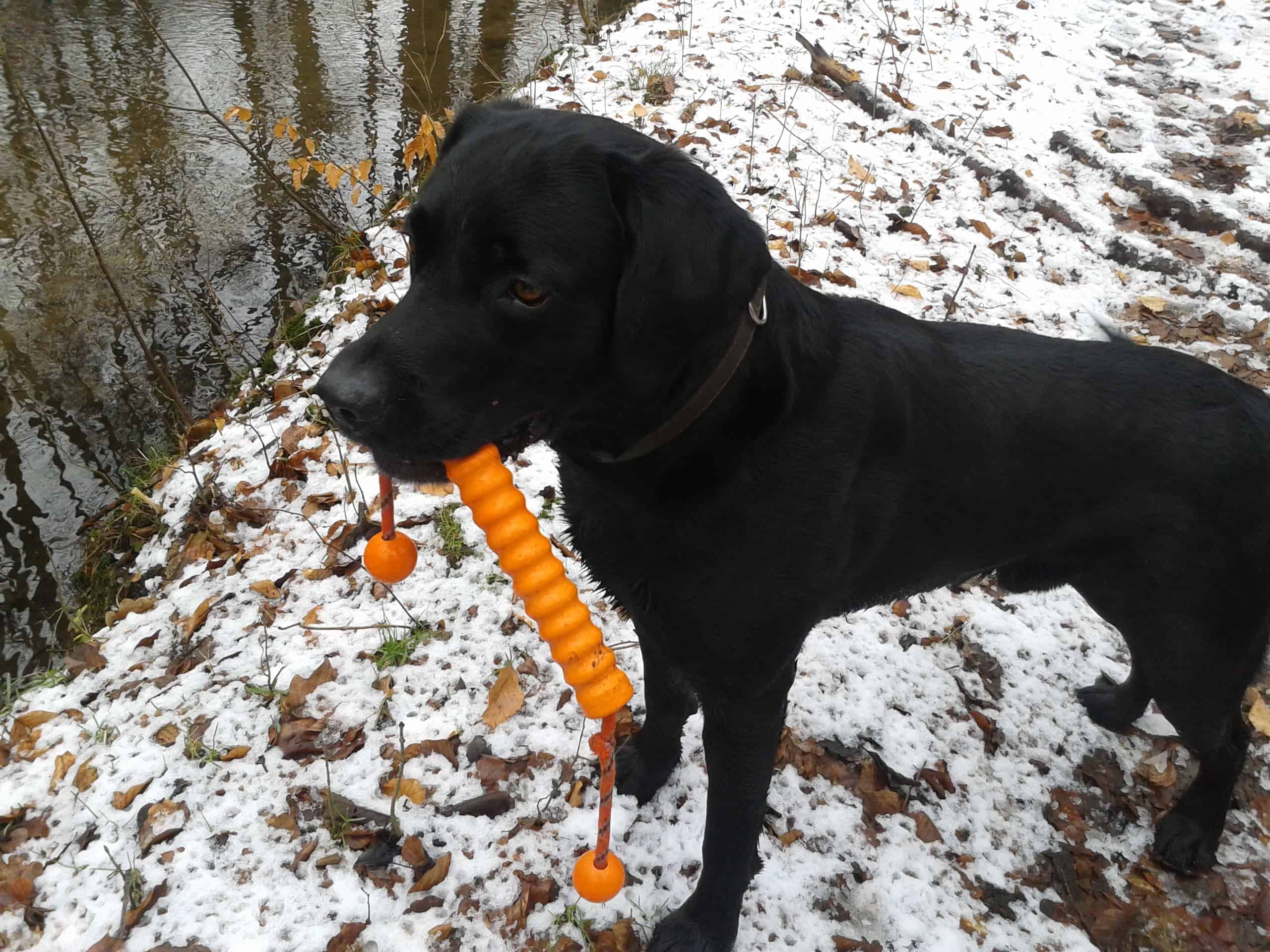 Cooper Cooper