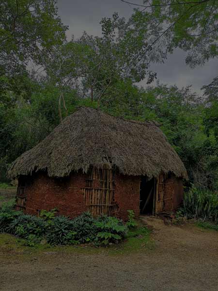 Rückführungstherapie: Strohhütte 