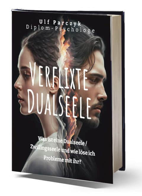 Dualseelen-EBook Bild