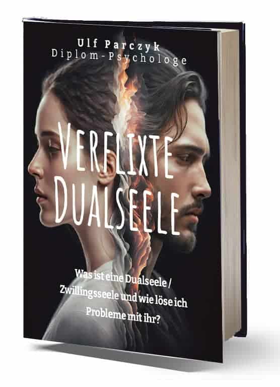 Dualseelen-EBook Cover EBookCover "Verflixte Dualseele"